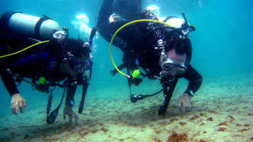 bhb-10-18-08-greg-laurice-octo-thumb.jpg