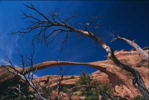 arches04-thumb.jpg