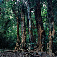 llaollao0017-thumb.jpg
